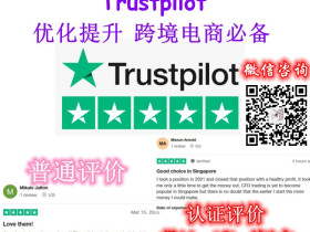 买Trustpilot好评价——跨境独立站卖家的必经之路